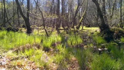 Habitats
