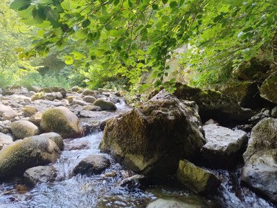 Freshwater habitats