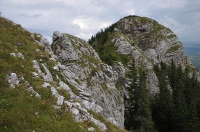 Rocky Habitats