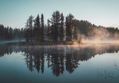 Nature Restoration Regulation
