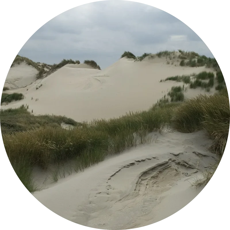 Coastal and marine habitats